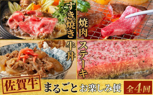 【4回定期便】 佐賀牛 まるごと欲張り お楽しみ便（合計3kg） 【希少 国産和牛 牛肉 肉 ヒレ サーロイン ロース ステーキ 特選 すき焼き】(H085146)