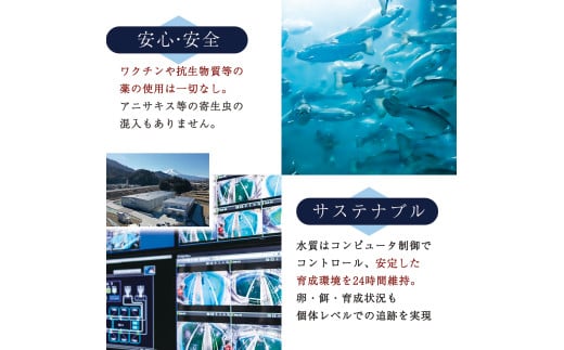 富士頂純サーモン こだわり焼き魚セット 西京漬け・塩麹漬け・焼きほぐしの3種入 富士山麓のきれいな天然水で養殖された安心安全なサーモン 完全無投薬・ワクチンフリー・アニサキスフリー・サステナブル 鮭 切り身 フレーク 焼き鮭