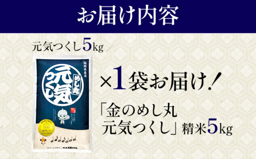 金のめし丸元気つくし精米５kg 元気つくし 福岡 お米 米 ごはん ご飯 お弁当 おにぎり 金のめし丸県産米 福岡ブランド米 めし丸 志免 志免町 福岡県