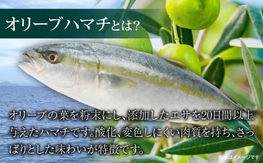 香川県産オリーブハマチのぶりしゃぶセット