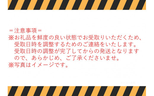 148J.白まいたけ三昧･満足セット〔定期便〕