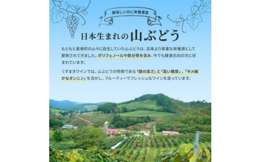 くずまきワイン おすすめ 5本 セット 赤ワイン 白ワイン ロゼ 360ml 詰め合わせ ギフト【1390936】