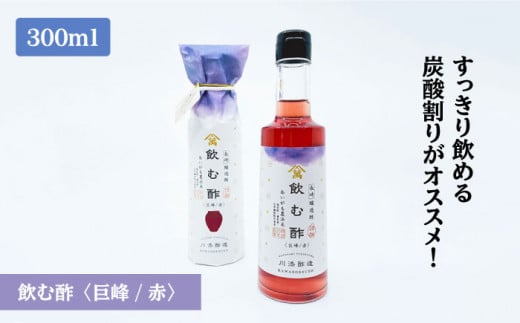 【6回定期便】飲む酢（巨峰/赤）＆純米酢 総計12本＜川添酢造＞ [CDN024]