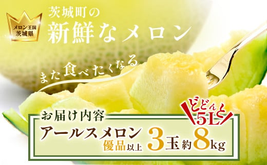 490 アールスメロン 3玉 5L 約8kg 優品以上 高級 茨城 JA水戸産 先行予約 2025年8月上旬頃から順次発送予定