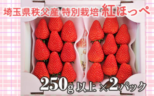 No.385 埼玉県秩父産　特別栽培　紅ほっぺ　250ｇ以上×2パック ／ いちご イチゴ 苺 フルーツ 埼玉県 特産品