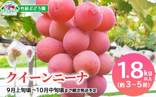 [No.5657-4074]クイーンニーナ 1.8kg以上（約3～5房）《竹前ぶどう園》■2024年発送■※9月上旬頃～10月中旬頃まで順次発送予定