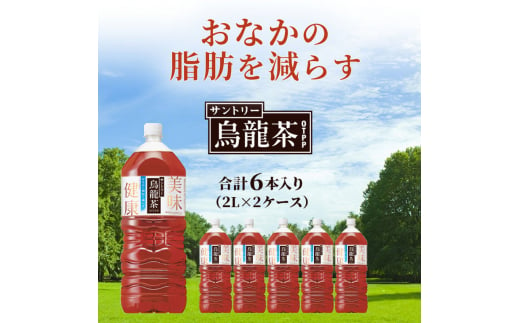 サントリー烏龍茶OTPP（機能性表示食品）2L×6本 2箱 ペットボトル