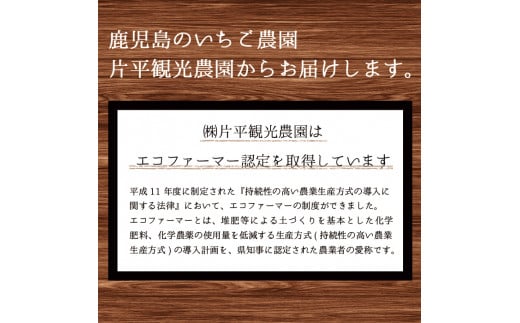 No.1182 手造りイチゴジャム(約200g×4本) 国産 九州産 鹿児島県産 いちご イチゴ 苺 ジャム フルーツ 果物 手作り 手造り 調味料 小分け 贈答 プレゼント 着色料無添加 保存料無添加【片平観光農園】【008】【299】