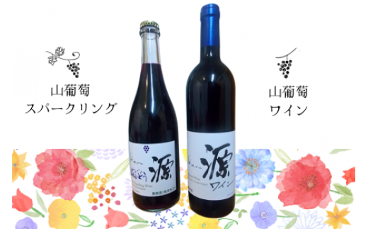 [源]山葡萄ワイン・山葡萄スパークリングワインセット（750ml×2本）