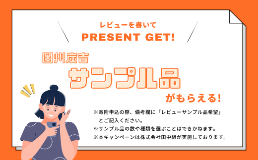 レビューキャンペーン中！【73004】因州炭吉　調湿木炭スティックセット（無地タイプ）