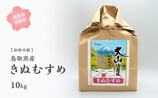 【iw102w】鳥取県産きぬむすめ10kg 令和6年産＜白米でお届け＞