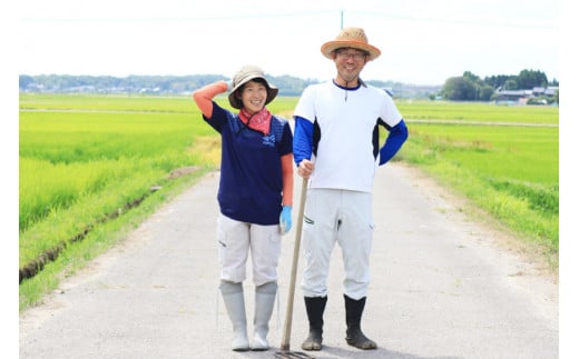 【期間限定発送】 米 令和6年 能登米 コシヒカリ 精米 5kg [みどりの波 石川県 宝達志水町 38601060] お米 コメ 5キロ ごはん 白米 こしひかり 美味しい 石川 能登