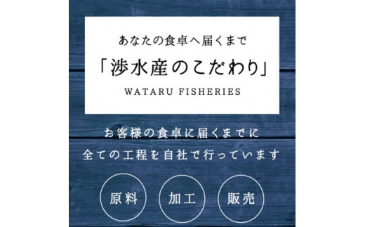 【期間限定】男鹿産天然さざえ 約2kg