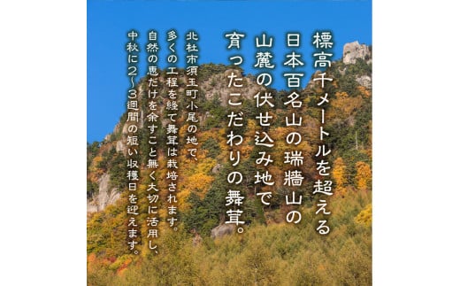  【令和6年産】増富天空の舞茸　原木まいたけ　約1kg