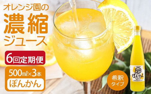 オレンジ園の濃縮ジュース ぽんかん 500ml 3本 6回定期便 希釈用 みかんジュース チューハイ用 ドリンク ジュース 柑橘類 蜜柑 みかん【J00112】