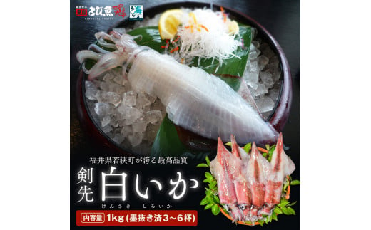 【期間限定】若狭湾産　白イカ（剣先イカ）3～6杯（スミ抜き、冷凍） [№5580-0546]