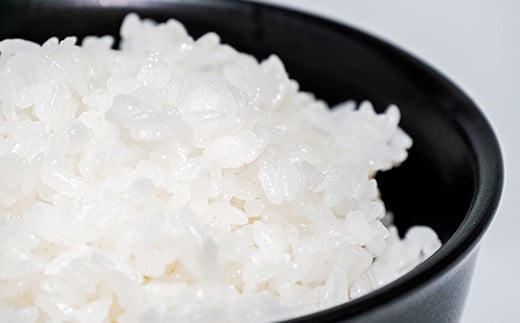 【令和6年産 新米 先行予約】 【米食味コンクール金賞受賞農園】 《定期便3回》 特別栽培米3種セット定期便 「つや姫･こしひかり･ミルキークイーン」 各2kg(計6kg)×3か月 《令和6年10月中旬～発送》 『しまさき農園』 山形南陽産 米 白米 精米 ご飯 農家直送 3種 セット 食べ比べ 山形県 南陽市 [1450-R6]