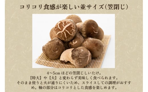 生しいたけ 並サイズ（笠閉じ） 約500g（12～18個）《11月上旬から順次発送》 品評会で金賞受賞！ きのこ しいたけ 椎茸 特大 食べ応えある大きさ 肉厚で旨味たっぷり！ 加茂市 青木農園