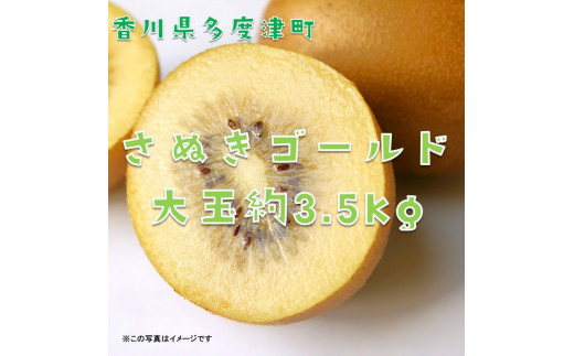 香川県オリジナルキウイフルーツ『さぬきゴールド』大玉約3.5kg【予約受付中！令和6年10月中旬頃から発送】【C-16】