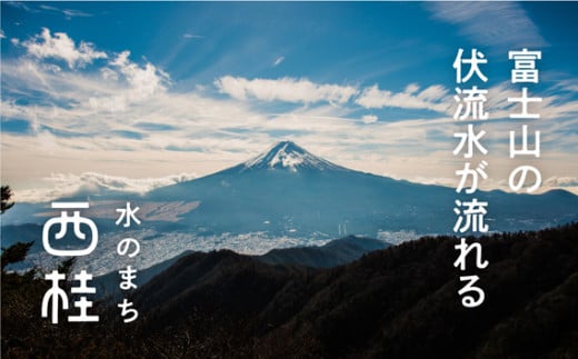 No.195 防撥水加工【高級エコバッグ】赤系・目を惹く鮮やかさ・枝