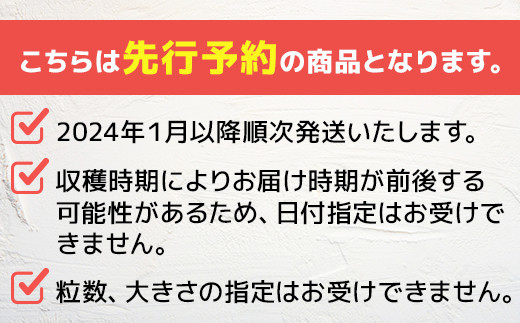 【2024年1月下旬発送開始】球磨産 イチゴ 250g×4パック 先行予約 苺 いちご 【 イチゴ 苺 フルーツ 果物 春 名産 熊本 多良木町 ビタミン 旬 先行予約 】004-0038