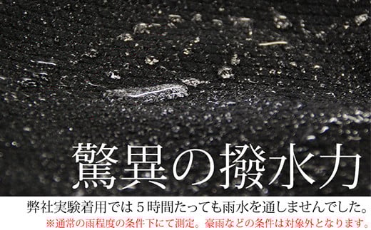 彩の国ベストＭＩＮＯ旬彩エプロン　＜ブルー＞