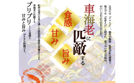 紀州和歌山産天然足赤えび540g×2箱（270g×4パック）化粧箱入 ※2024年11月上旬頃〜2025年2月上旬頃順次発送予定（お届け日指定不可）／海老 エビ えび クマエビ 足赤 天然 おかず【uot773A】