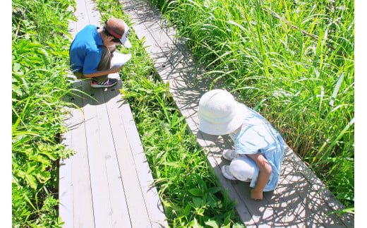 【八島湿原 ぐるっとウォーク】～花と生きものたちとの出会い　癒やしの湿原めぐり～ツアー参加券２名様分／八ヶ岳登山企画 ハイキング 体験 アウトドア 子供 チケット ペア 観光 長野 諏訪【88-05】