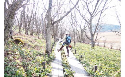 【八島湿原 ぐるっとウォーク】～花と生きものたちとの出会い　癒やしの湿原めぐり～ツアー参加券２名様分／八ヶ岳登山企画 ハイキング 体験 アウトドア 子供 チケット ペア 観光 長野 諏訪【88-05】