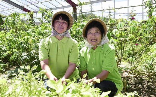 ＜しらかわファーム＞無添加酵素ドリンク「野草木果」＆ 無添加ジャム「手づくりまるごとジャム3種」-無添加 手作り 酵素 ドリンク 飲みやすい こだわり ジャム マンゴー ドラゴンフルーツ 秋ミカン カーブチー 果実100％ 詰め合わせ セット 沖縄県 八重瀬町