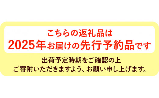 ＜先行予約！2025年3月上旬以降順次発送予定＞アスパラガス食べ比べ（約500ｇ/グリーン・約300ｇ/ホワイト） 【man085】【Aglio nero】