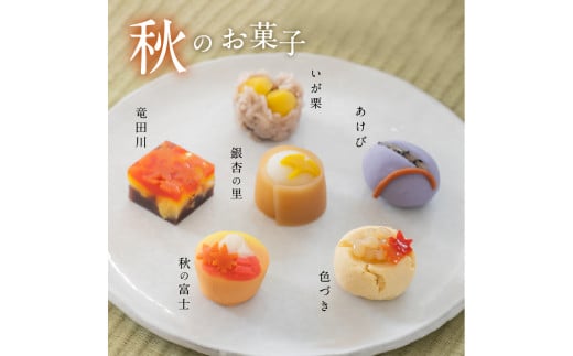 四季の彩 上生菓子(12個セット) 4回 定期便 【富士夢和菓子】