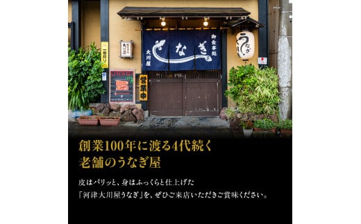 うなぎ 2人前 河津大川屋うなぎ 炭火直焼き蒲焼 蒲焼き 老舗 ウナギ 鰻 関西風 魚 魚介 魚介類 和食 惣菜 静岡 うなぎ  [№5227-0261]