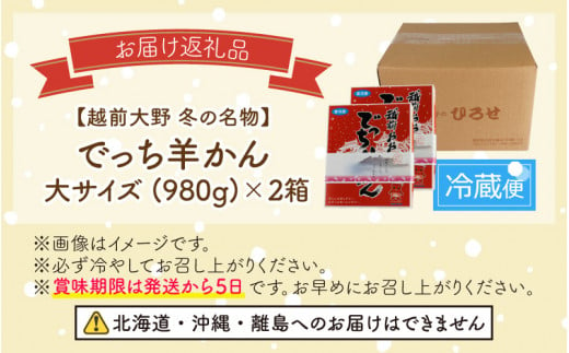 【先行予約】福井県大野市 冬の名物 でっち羊かん (お菓子のひろせ 水ようかん) 大サイズ(約980g)×2箱【11月～順次発送】