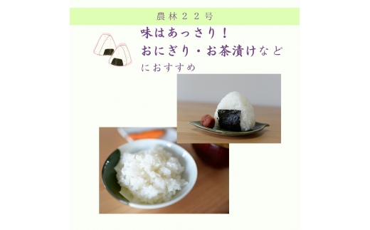 新米令和6年度産・農薬不使用『幻のお米農林22号』10キロ【白米（標準精米）】