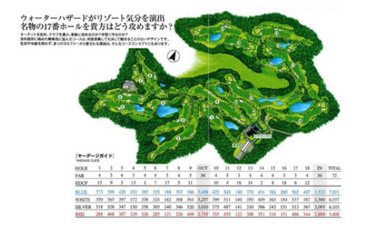 東庄ゴルフ倶楽部 平日セルフプレー券（4名様・昼食付） ゴルフチケット 