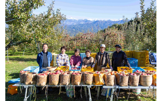 北城農園りんごおやつセット（りんごジュース180ml 12本、ドライアップル25g 6袋） 長野県 信州 南信州 高森町 りんご 果汁100％ ドライフルーツ 小瓶 小袋 食べきりサイズ