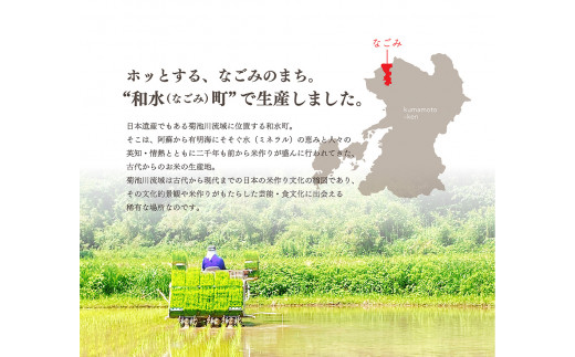 熊本県和水町産　無洗米 ﾋﾉﾋｶﾘ 5kg | 熊本県 熊本 くまもと 和水町 なごみまち なごみ 無洗米 ひのひかり ヒノヒカリ 単一原料米