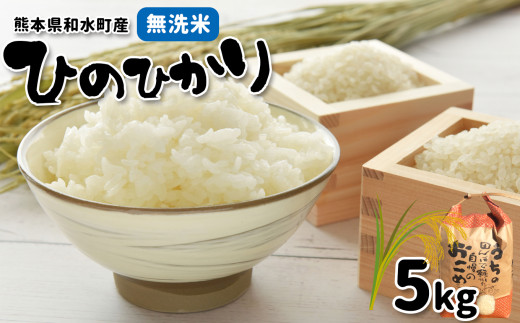 熊本県和水町産　無洗米 ﾋﾉﾋｶﾘ 5kg | 熊本県 熊本 くまもと 和水町 なごみまち なごみ 無洗米 ひのひかり ヒノヒカリ 単一原料米