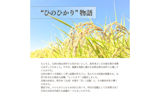 熊本県和水町産　無洗米 ﾋﾉﾋｶﾘ 5kg | 熊本県 熊本 くまもと 和水町 なごみまち なごみ 無洗米 ひのひかり ヒノヒカリ 単一原料米