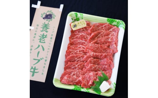 養老ハーブ牛　モモまたは肩　焼肉用　500g【1273630】