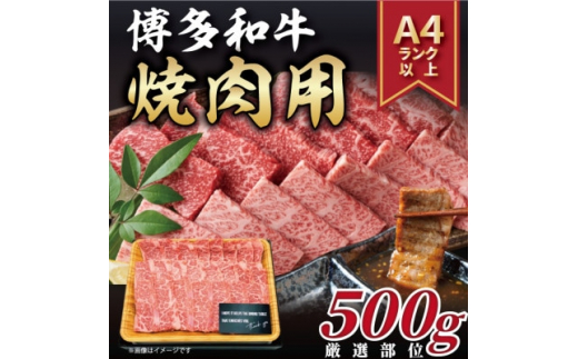 2023年10月発送開始『定期便』博多和牛焼き肉用 500g(水巻町)全6回【5155015】