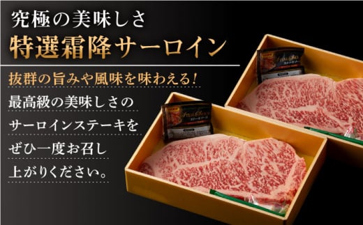 【全6回定期便】長崎和牛 出島ばらいろ  サーロイン ステーキ約500g（約250g×2枚） [QBN020]