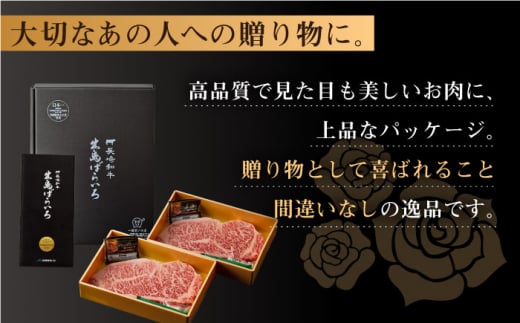 【全6回定期便】長崎和牛 出島ばらいろ  サーロイン ステーキ約500g（約250g×2枚） [QBN020]