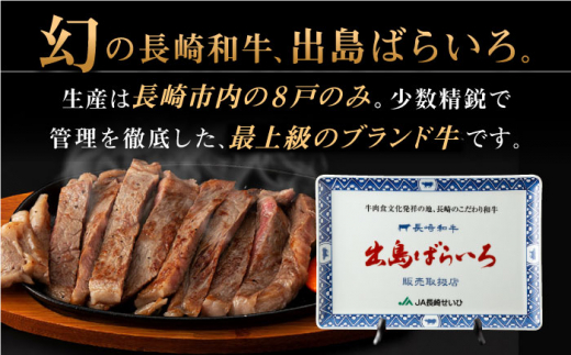 【全6回定期便】長崎和牛 出島ばらいろ  サーロイン ステーキ約500g（約250g×2枚） [QBN020]