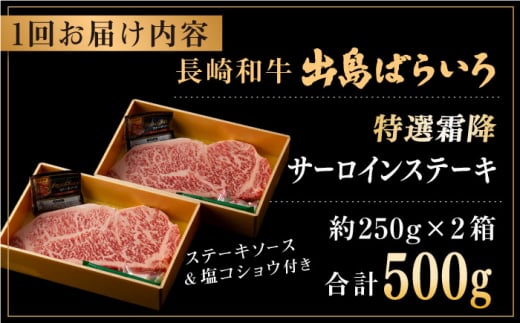 【全6回定期便】長崎和牛 出島ばらいろ  サーロイン ステーキ約500g（約250g×2枚） [QBN020]