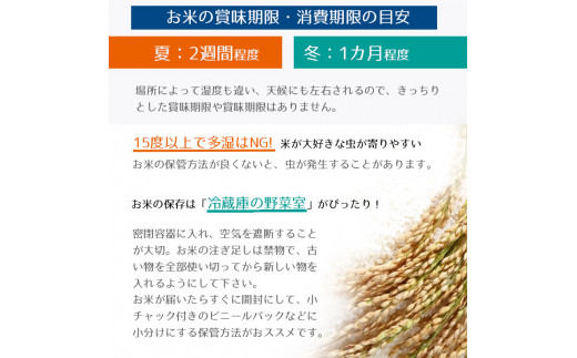 【定期便3回】無洗米 食べ比べ  熊本県産 10㎏ くまもとの無洗米・南関郷ヒノヒカリ | 熊本県 和水町 くまもと なごみまち なごみ ヒノヒカリ ひのひかり 無洗米 乾式無洗米 数量限定 米 単一原料米 5kg 2袋 南関郷 菊池川流域 定期便 3回 食べ比べ