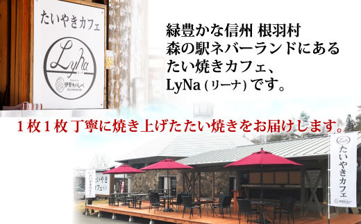 森の駅ネバーランドで大人気！ たい焼き カスタード お試し3枚入り 3500円