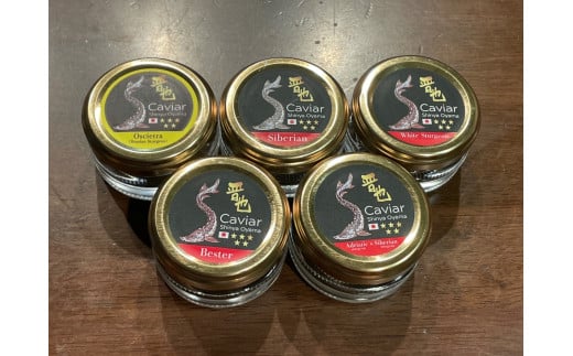 中津川キャビア S Caviar 食べ比べ5種（オシェトラ＋4種） F4N-1217