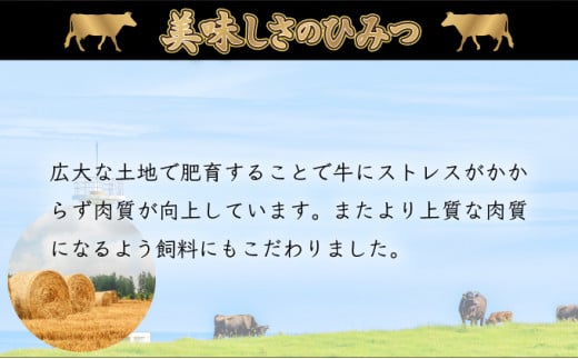 1000g 【佐賀牛】特選カルビ焼肉用（バラ・ウデ）D-608